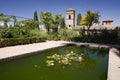 Alhambra garden