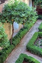 Alhambra garden Royalty Free Stock Photo