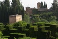 Alhambra garden in Granada, Andalusia, Spain