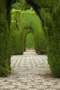 Alhambra garden