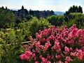 Alhambra garden and palaces, Granada Royalty Free Stock Photo