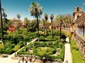 Alhambra garden