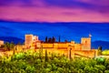 Alhambra of Granada, Andalusia, Spain Royalty Free Stock Photo