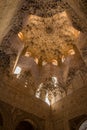 Alhambra Hall Canopy Granada