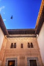 Alhambra Mexuar Courtyard Moorish Wall Designs Bird Granada Spain Royalty Free Stock Photo