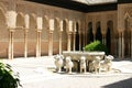 Alhambra palace in Granada, Andalusia