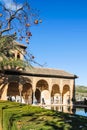 Palace in the Alhambra and persimmon tree in winter. Granada Spain Royalty Free Stock Photo