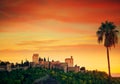 Alhambra Sunset with palm tree Granada