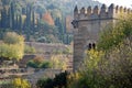 Alhambra Terraced Hillside Royalty Free Stock Photo