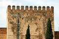 Alhambra Tower Royalty Free Stock Photo