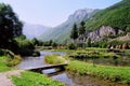 Ali-pasa springs - Montenegro Royalty Free Stock Photo