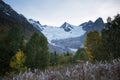 The Alibek glacier Royalty Free Stock Photo