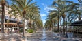 Alicante Alacant town city boulevard Esplanada d`Espanya with palms travel traveling holidays vacation panorama in Spain