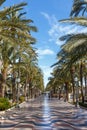 Alicante Alacant town city boulevard Esplanada d`Espanya with palms travel traveling holidays vacation portrait format in Spain