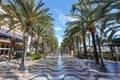 Alicante Alacant town city boulevard Esplanada d`Espanya with palms travel traveling holidays vacation in Spain
