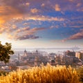 Alicante cityscape skyline in mediterranean sea