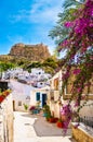 Alicante old town and Santa Barbara Castle. Narrow street with white houses and purple flowers on hillside in ancient Royalty Free Stock Photo