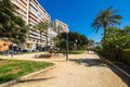 View of alley of palm trees in Alicante Royalty Free Stock Photo