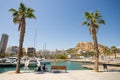 ALICANTE, SPAIN - JULY, 5 2023: Marina with yachts in Alicante, Spain. Empty bench and palm trees, sunny day