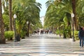 ALICANTE, SPAIN - NOVEMBER 29, 2019: The promenade Explanada in Alicante, Spain Royalty Free Stock Photo