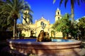 Alicante, Torrevieja,fountain,Church,Church of the Immaculate Conception,Palm,Religion