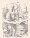 Alice`s Adventures in Wonderland - Illustration from 1907