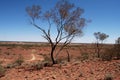 Alice Springs Desert