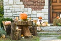 Mad Hatter and Alice Thanksgiving or Halloween Pumpkin Tea Party in the Forest Royalty Free Stock Photo