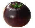 Alices`s dream  heirloom tomato, anthocyanin-rich streaked bi-color Solanum lycopersicum fruit isolated Royalty Free Stock Photo