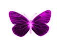 Alien butterfly Royalty Free Stock Photo