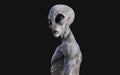 Alien on dark background with clipping path. Royalty Free Stock Photo