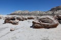 Alien Egg Hatchery at Bisti Wilderness