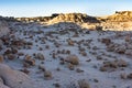 The Alien Egg Hatchery at Bisti Badlands Wilderness Area New Mexico