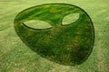 Alien face fake crop circle meadow Royalty Free Stock Photo