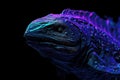 Alien fish head emerging from the dark void of space Royalty Free Stock Photo