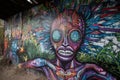 alien graffiti artist with spray paint and stencils, creating intricate and colorful murals on walls