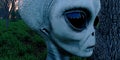 Alien Grey Humanoid Extraterrestrial Being in a forest extremely detailed and realistic high resolution 3d illustration