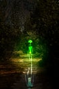 Alien, night and creature walking for horror, fantasy or graphic design in nature, forest or planet earth of green glow