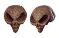 Alien skull - Forbidden Archeology