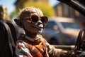 Alien smiling creatures in sunglasses drives a car