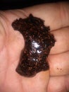 Alien turd red black he heavey 2