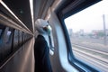 alien worker, traveling to busy station on high-speed train, with view of futuristic city visible in the distance