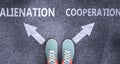 Alienation and cooperation as different choices in life - pictured as words Alienation, cooperation on a road to symbolize making