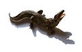 Aligator toy on white background Royalty Free Stock Photo