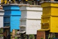 Aligned bee hive