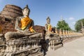 Aligned buddha statues at Wat Yai Chaimongkol Ayutthaya, Thailan Royalty Free Stock Photo