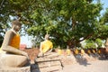 Aligned buddha statues Royalty Free Stock Photo