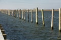 Aligned Empty Boat Slips/Piles in the Bay