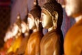 Aligned gold buddha Royalty Free Stock Photo