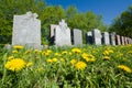 Aligned headstones in a cemetary Royalty Free Stock Photo